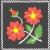 GREETING CARD - WILD ROSE