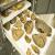 Jr. Museum - Palaeontology