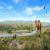 changing landscapes